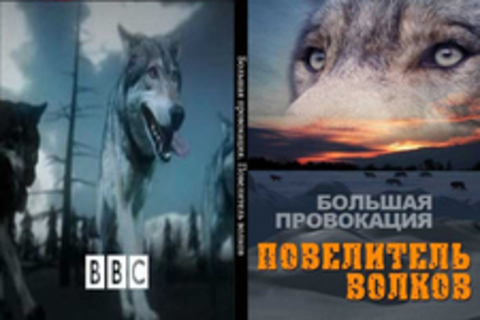 Большая провокация. Повелитель волков