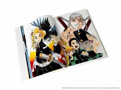 The Art of Demon Slayer: Kimetsu no Yaiba (На Японском языке)