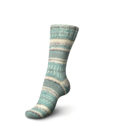 Regia Norway Color 6-ply 2787 купить