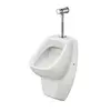 Santek 1WH501804 Писсуар "Гала" с нажимным краном, с креплением, сифон горизонтальный