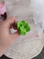 Силиконовая форма 
