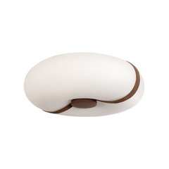 Потолочный светодиодный светильник Loft It Bolina 10473