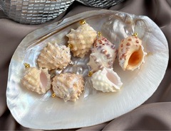 Подвеска "Ракушка" (в ассортименте)