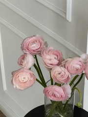 Ранункулюс в розовом оттенке