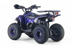 Детский бензиновый квадроцикл RiverToys LEON с электростартером