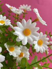 Ромашки белые луговые искусственные, 7 веток, 28 голов, букет 44 см, 2 букета.