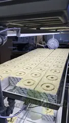 Многоярусный гидропонный стеллаж 3 яруса 1750х1250х600мм до 180 растений