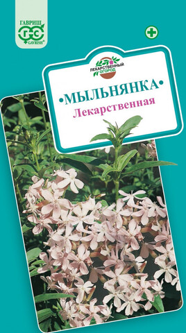 Семена Мыльнянка Лекарственная