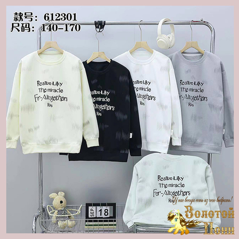 Свитшот хлопок м (10-13) 260201-TR1201