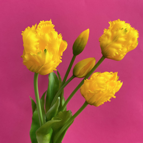 Тюльпаны силиконовые как настоящие, Волнистый край, качество ПРЕМИУМ, Желтые, высота 40 см, букет 5 штук.