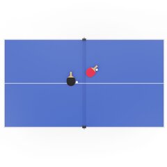 Теннисный стол DFC RQ24002, размер по стандарту ITTF 274 x 152, с сеткой и ракетками