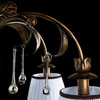 Люстра Arte Lamp Borgia A8100PL-6GA