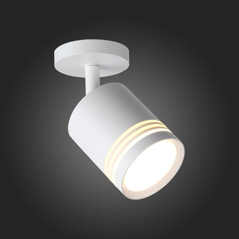 Светильник потолочный ST Luce Cerione ST101.512.05