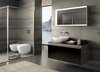 Зеркало с подсветкой Geberit Citterio: B=118.4см, H=58.4см, Серо-коричневый дуб  / Меламин, древесная структура