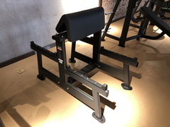 Скамья Скотта DHZ E7044