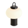 Настольный светильник Freya Take FR6175TL-L10B