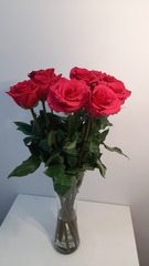 Роза Nina High Connection Flowers