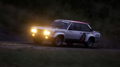 Assetto Corsa Rally (Ранний доступ) (для ПК, цифровой код доступа)