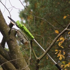 Высоторез-сучкорез Greenworks G40PSF 40V (20 см) аккумуляторный, без АКБ и ЗУ