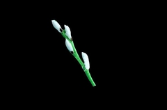 Силиконовый молд 