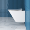 Унитаз безободковый подвесной BelBagno MARMI BB052CHR