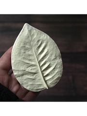 Молд пластиковый 