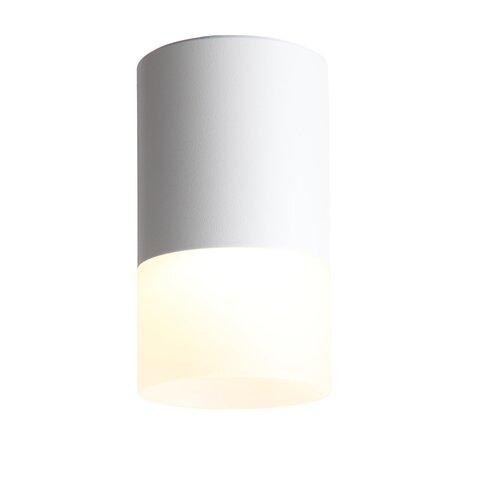 Светильник потолочный ST Luce ST100.502.05