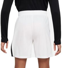 Детские теннисные шорты Nike Boys Dri-Fit Multi+ Graphic Training Shorts - white/black/black