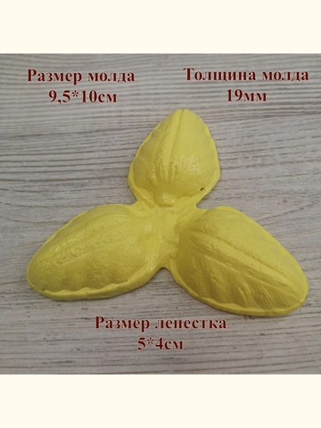 Молд лепестки тюльпана 9,5х10см