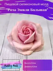 Пищевой молд 
