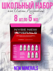 Обучающий сет минеральных пигментов N.Y.S.E