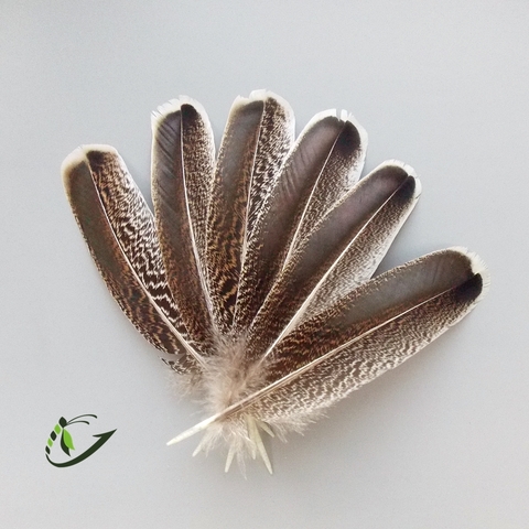 Индюшиные маховые перья 25-30 см