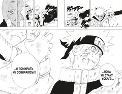 Naruto. Наруто. Книга 7. Наследие