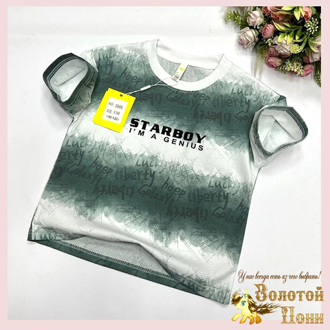 Футболка хлопок м (2-8) 250515-W4126
