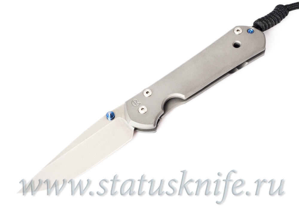 Нож Chris Reeve Knives 2012 Large Sebenza 21