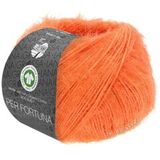 Пряжа Lana Grossa Per Fortuna 033