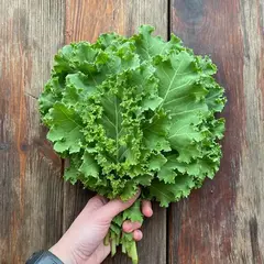 Кейл кудрявый "О, Батат", 100 г