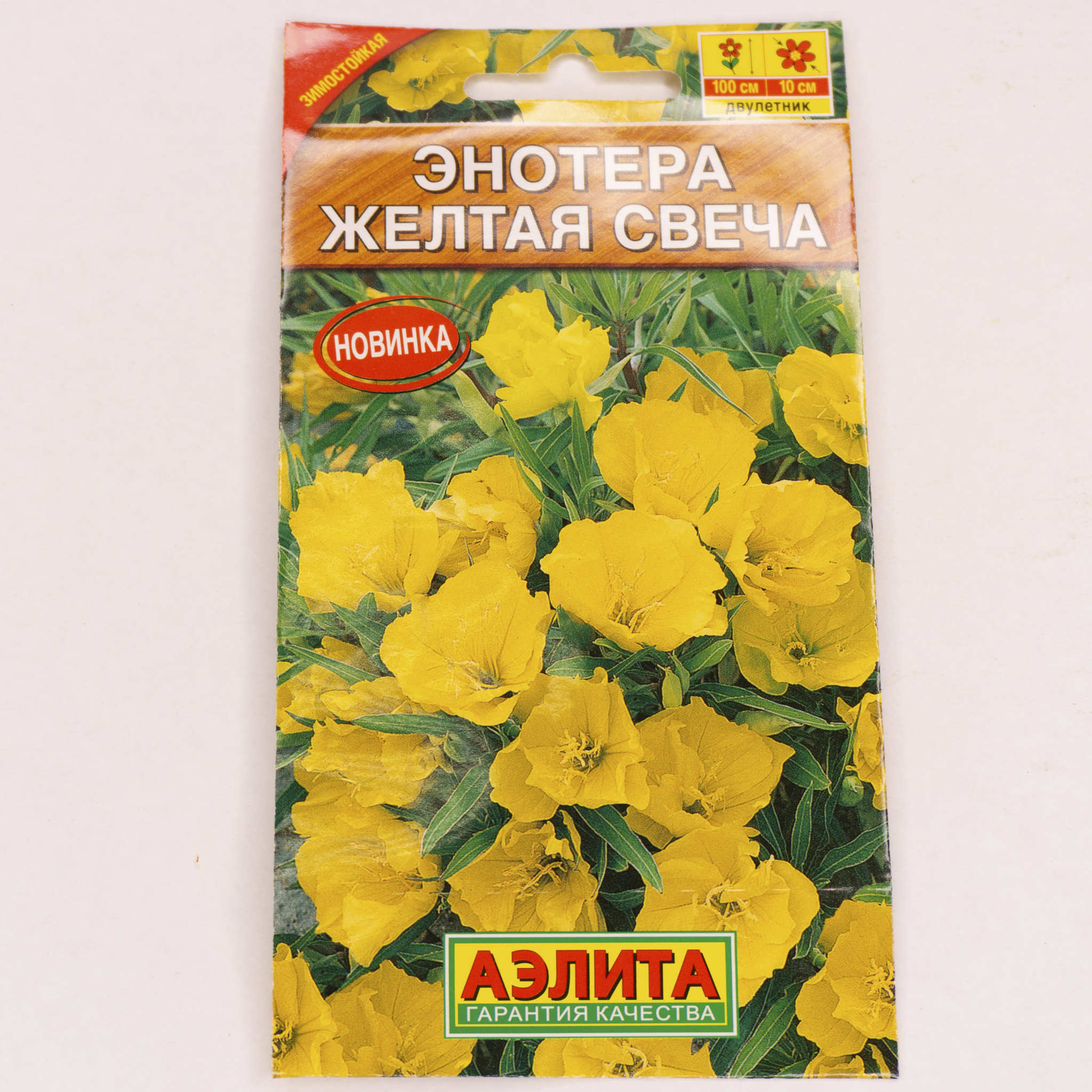Энотера цветок рассада купить