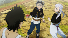 Black Clover: Quartet Knights (для ПК, цифровой код доступа)