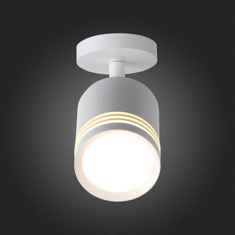 Светильник потолочный ST Luce Cerione ST101.512.05