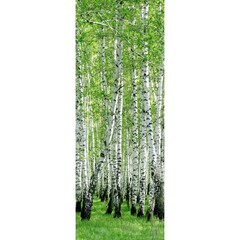 Панель ПВХ фотопечать Березовая роща 2700х250 мм