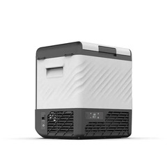 Компрессорный автохолодильник Alpicool P22 (12/24)