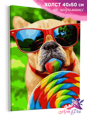 Картина по номерам собака в очках/ собака с леденцом/ цветная собака