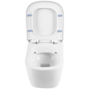 Унитаз безободковый подвесной BelBagno ALBANO BB120CHR