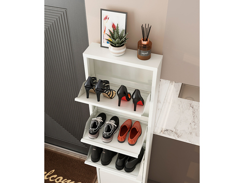 Обувница Практик ОМ-2