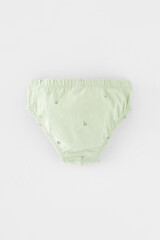 трусы/ уп  для мальчика  К 1966-3уп/папоротник,морская пена,слонята