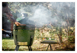 Гриль керамический Green Kamado II XL