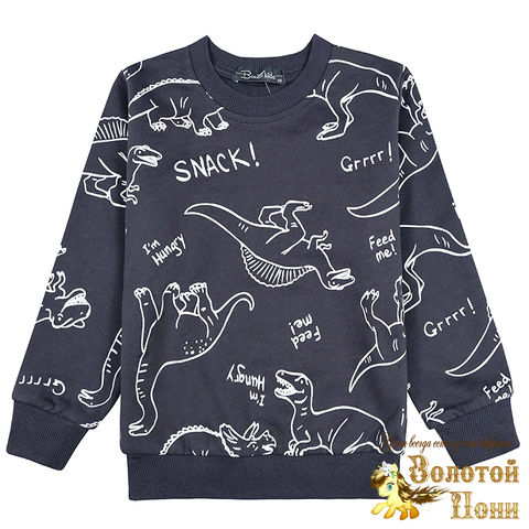 Свитшот хлоп/начес м (3-7) 241030-BK1518T.1