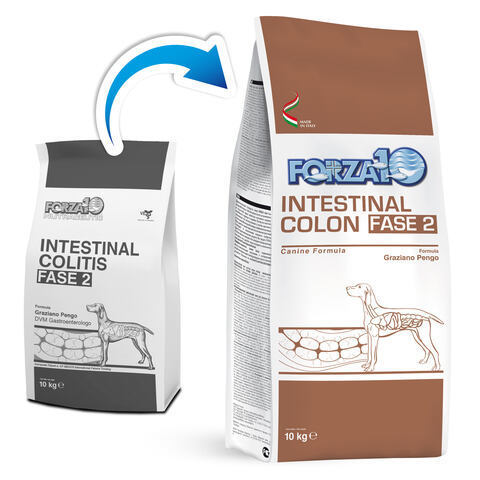 купить FORZA10 ActiveLine DOG Intestinal Colon Fase 2 сухой корм для взрослых собак всех пород профилактика колитов и заболеваний поджелудочной железы