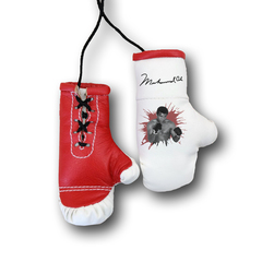 Перчатки боксерские комбинированные "Моххамед Али", белые с красным
